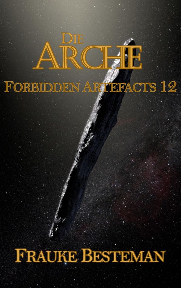Die Arche - Frauke Besteman (Buch)