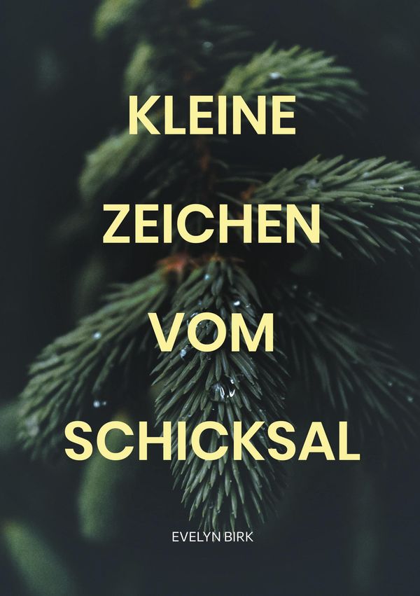 Kleine Zeichen vom Schicksal - Evelyn Birk (Buch)