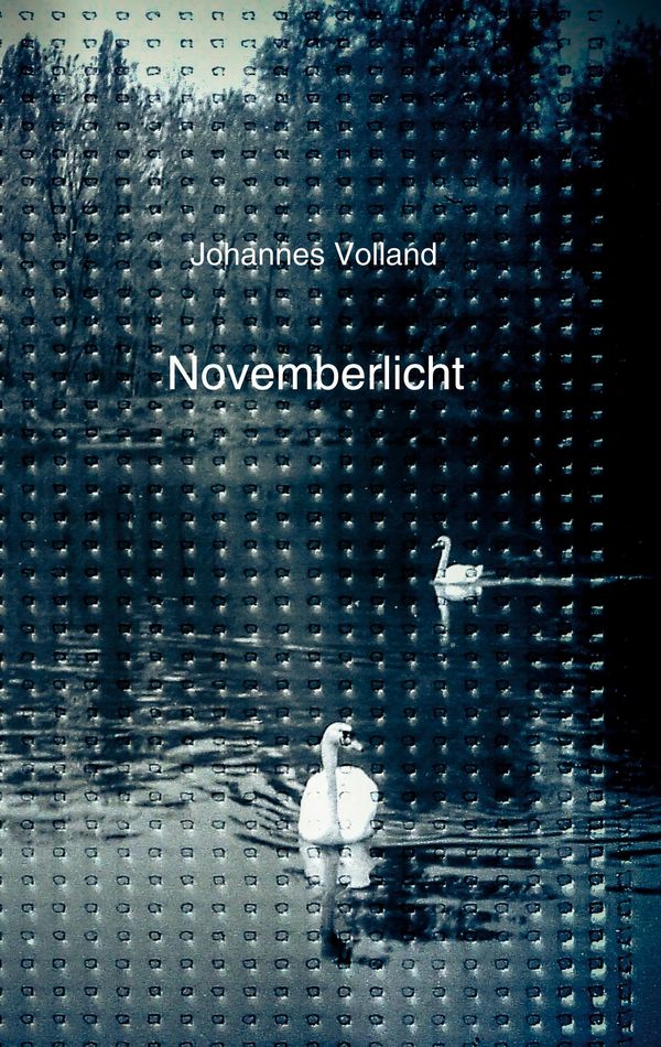 Novemberlicht - Johannes Volland (Buch)