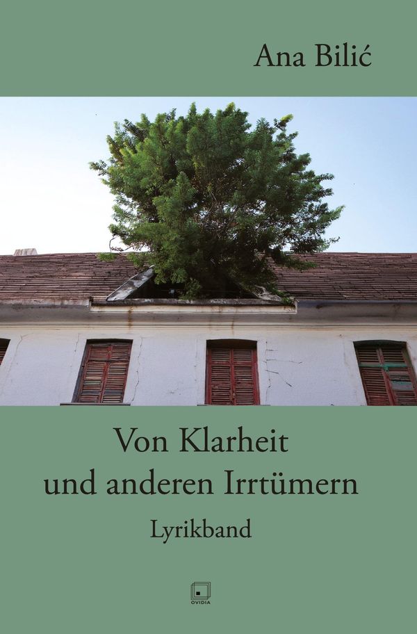 Von Klarheit und anderen Irrtümern - Ana Bilic (Buch)