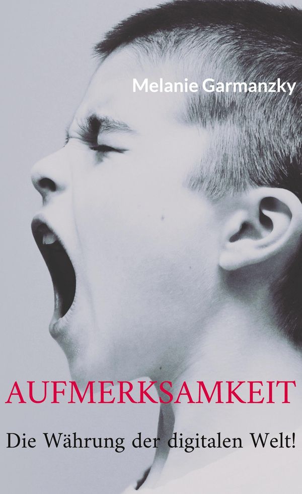 Aufmerksamkeit - Melanie Garmanzky (Buch)