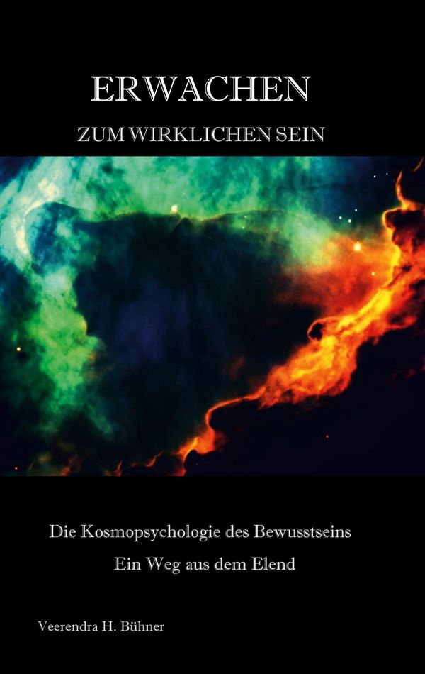 Erwachen zum wirklichen Sein - Veerendra H. Bühner (Buch)