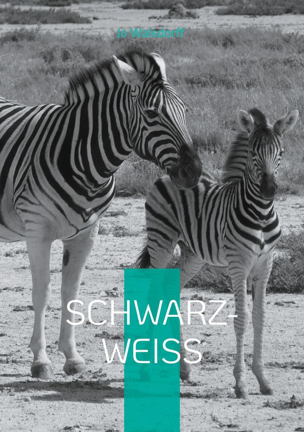 Schwarz-Weiß - Jo Walsdorff (Buch)