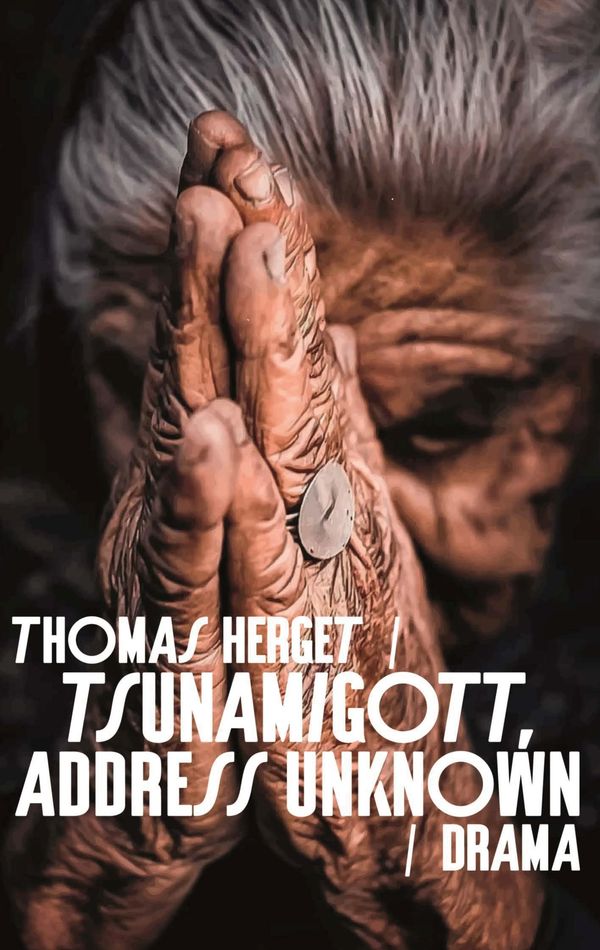 Tsunamigott, address unknown - Thomas Herget (Buch)