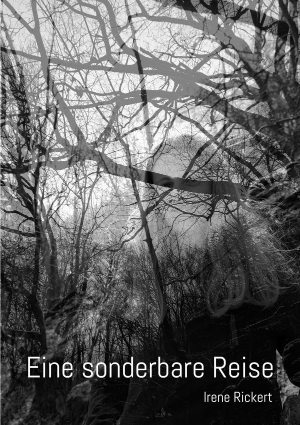 Eine sonderbare Reise - Irene Rickert (Buch)