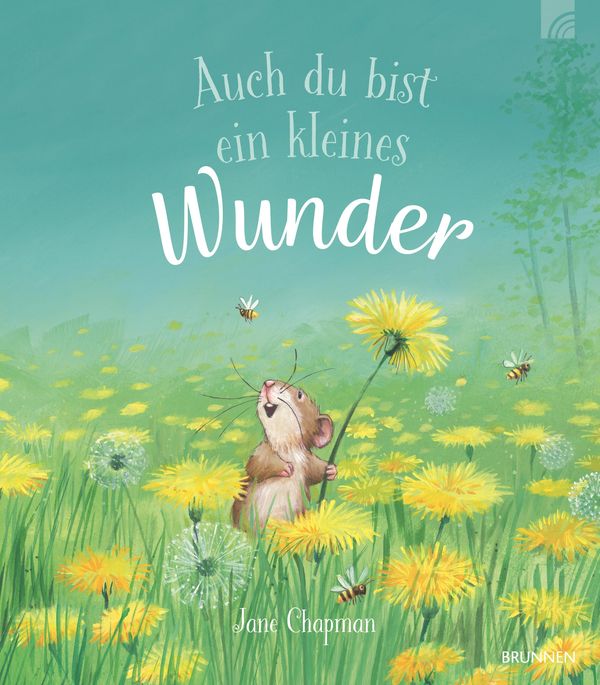 Auch du bist ein kleines Wunder - Jane Chapman (Buch)