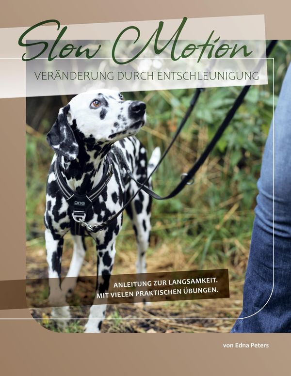Slow Motion - Edna Peters (Buch)