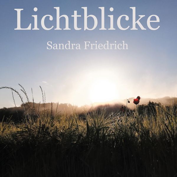 Lichtblicke - Sandra Friedrich (Buch)