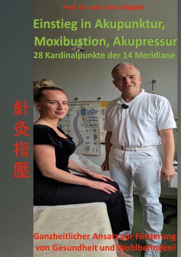 Einstieg in Akupunktur, Moxibustion, Akupressur - Boris Bigalke (Buch)
