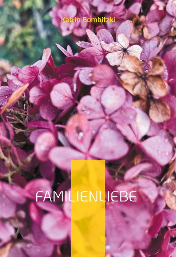 Familienliebe - Katrin Bombitzki (Buch)