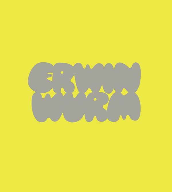 Erwin Wurm (Buch)