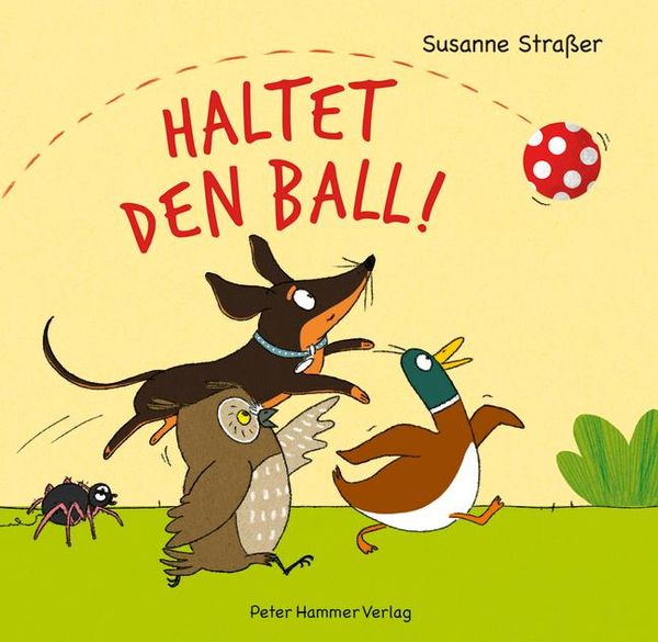 Haltet den Ball! - Susanne Straßer (Buch)