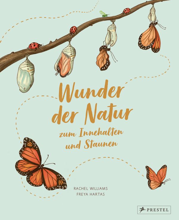 Wunder der Natur zum Innehalten und Staunen - Rachel Williams (Buch)
