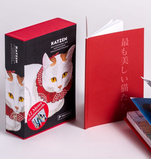 Katzen - Jocelyn Bouquillard (Buch)