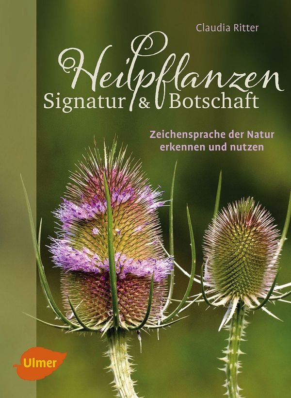 Heilpflanzen. Signatur und Botschaft - Claudia Ritter (Buch)