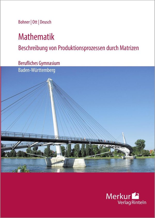 Mathematik-Beschreibung von Produktionsprozessen durch Matrizen (Buch)