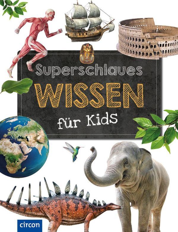 Superschlaues Wissen für Kids - Heidi Schooltink (Buch)