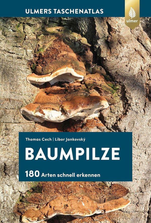 Cech, T: Baumpilze - Thomas L. Cech (Buch)
