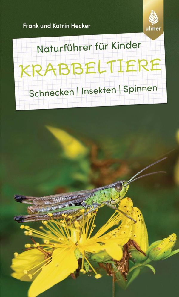 Naturführer für Kinder: Krabbeltiere - Frank und Katrin Hecker (Buch)
