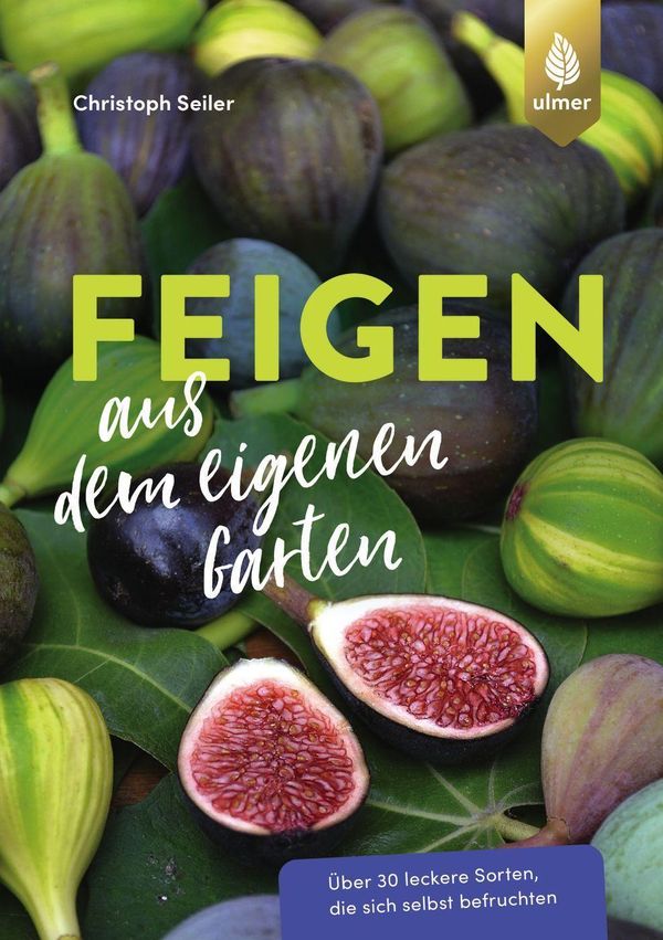 Feigen aus dem eigenen Garten - Christoph Seiler (Buch)