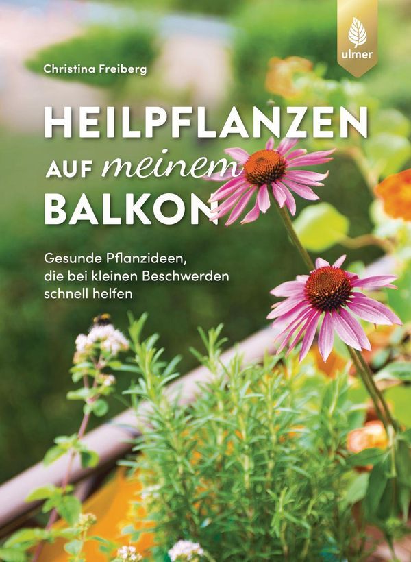 Heilpflanzen auf meinem Balkon - Christina Freiberg (Buch)