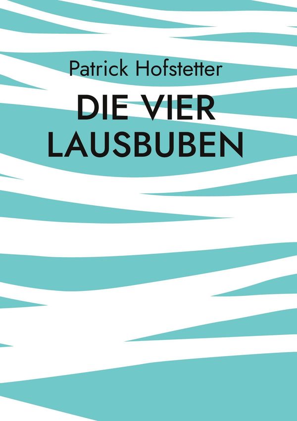 Die vier Lausbuben - Patrick Hofstetter (Buch)