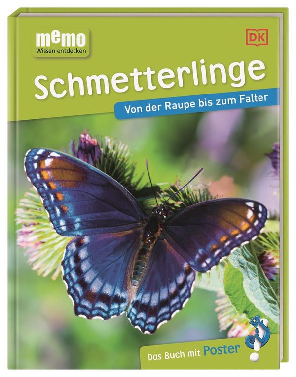 memo Wissen entdecken. Schmetterlinge - Paul Whalley (Buch)