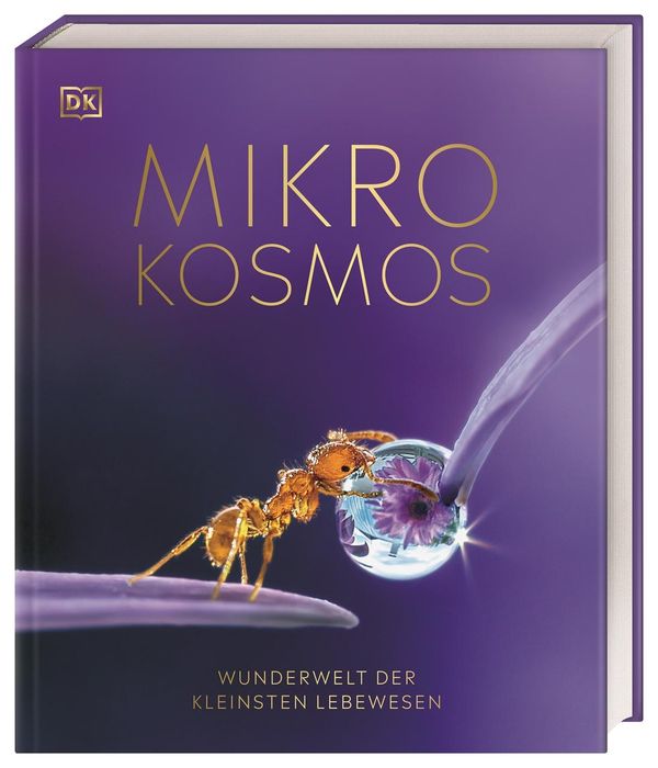 Mikrokosmos - Wunderwelt der kleinsten Lebewesen - Derek Harvey (Buch)