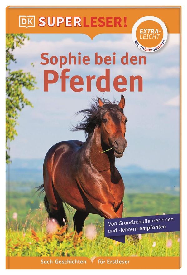 SUPERLESER! Sophie bei den Pferden - Fiona Lock (Buch)