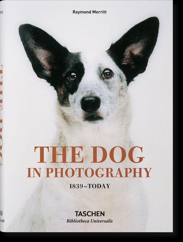 The Dog in Photography 1839-Today - Raymond Merritt (Buch)