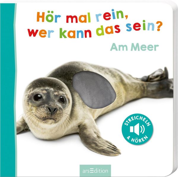 Hör mal rein, wer kann das sein? Am Meer (Buch)