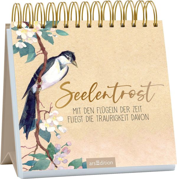 Seelentrost (Buch)