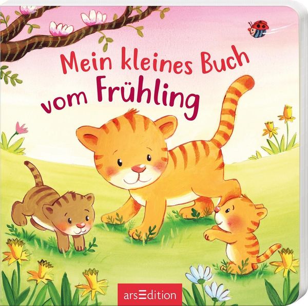 Mein kleines Buch vom Frühling (Buch)