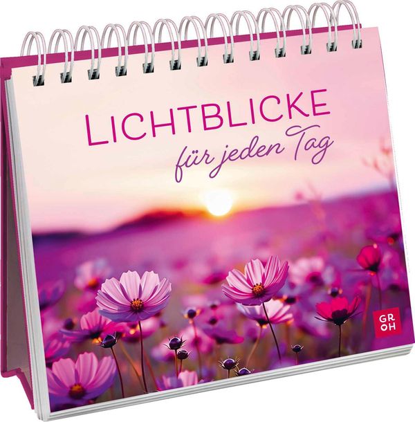 Lichtblicke für jeden Tag (Buch)