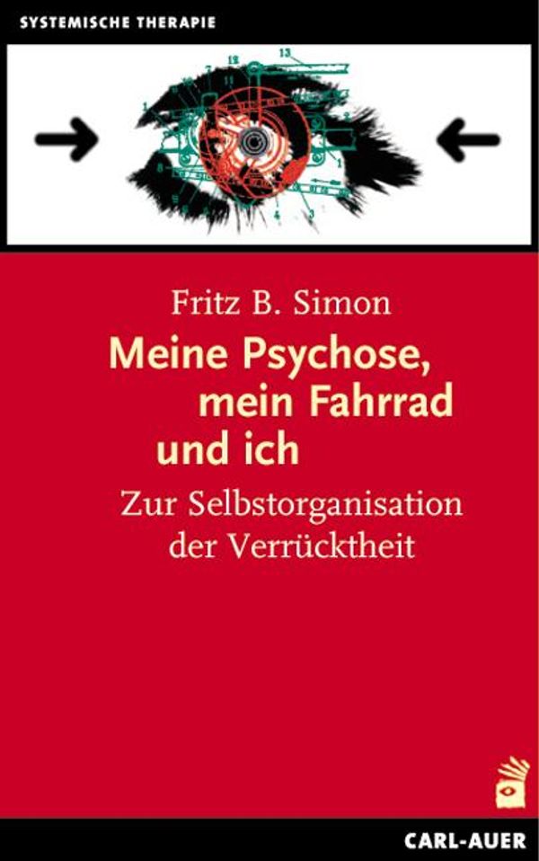 Meine Psychose, mein Fahrrad und ich - Fritz B. Simon (Buch)