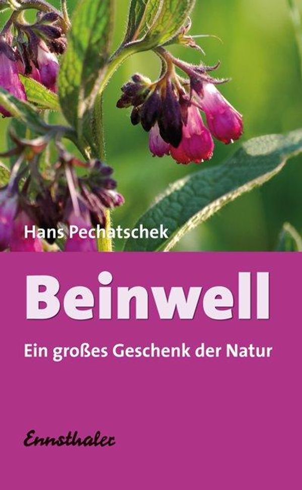 Beinwell - Hans Pechatschek (Buch)