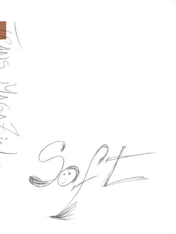 trans 47. Soft (Buch)