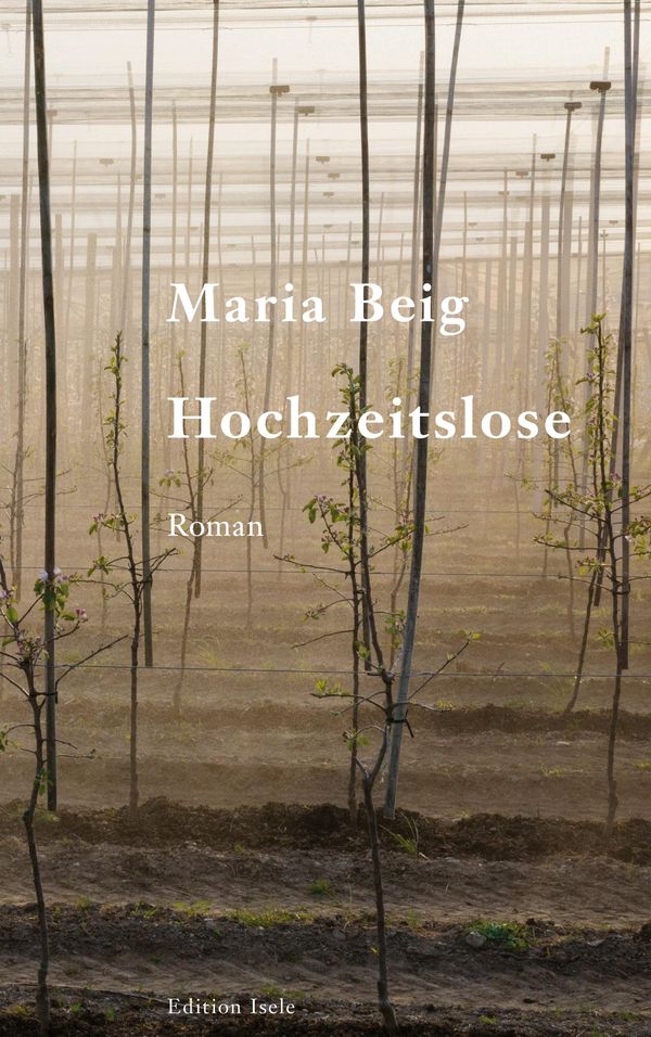 Hochzeitslose - Maria Beig (Buch)