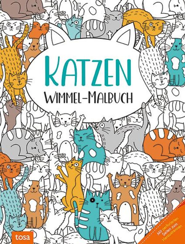 Katzen - Wimmel-Malbuch (Buch)