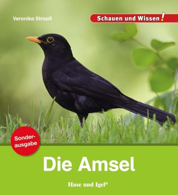 Die Amsel / Sonderausgabe - Veronika Straaß (Buch)