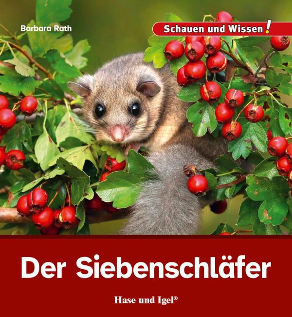Der Siebenschläfer - Barbara Rath (Buch)