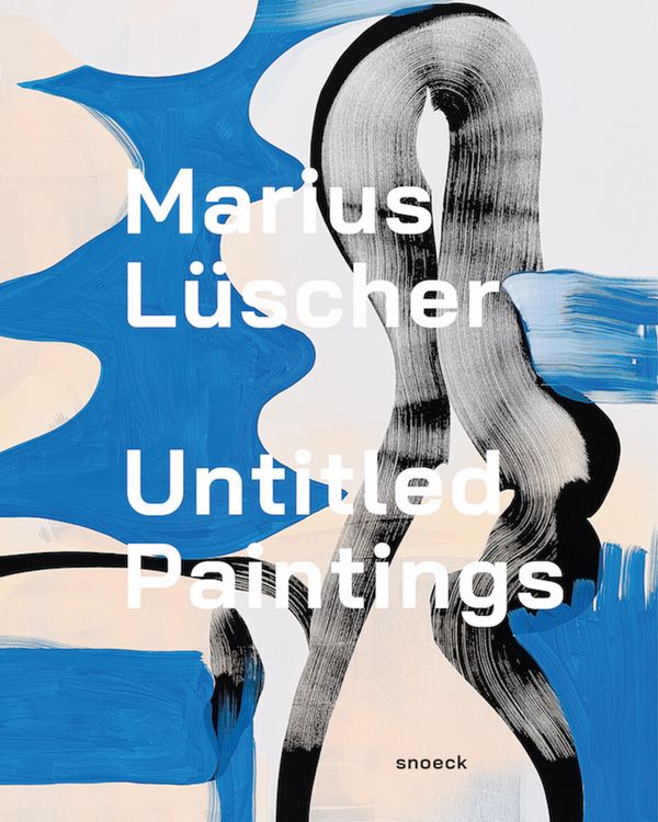Marius Lüscher: Untitled Paintings - Dieter Schwarz (Buch)