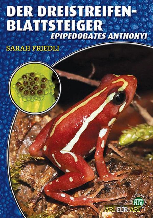 Der Dreistreifen-Blattsteiger - Sarah Friedli (Buch)