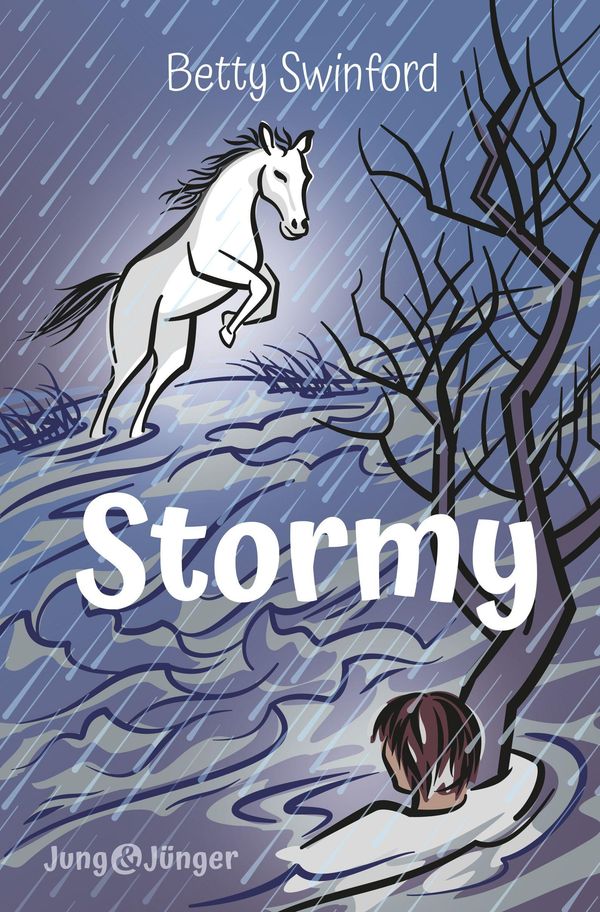 Stormy - Betty Swinford (Buch)