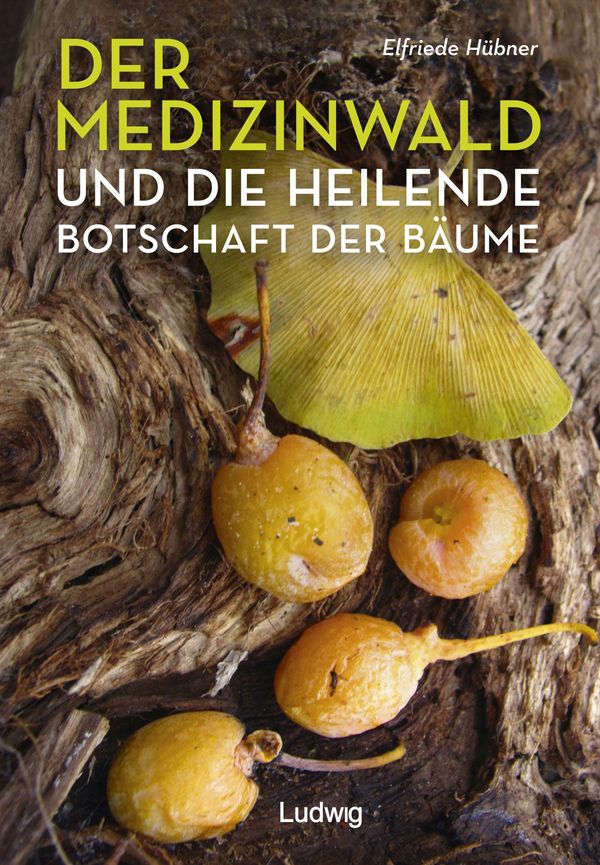 Der Medizinwald und die heilende Botschaft der Bäume. (Buch)