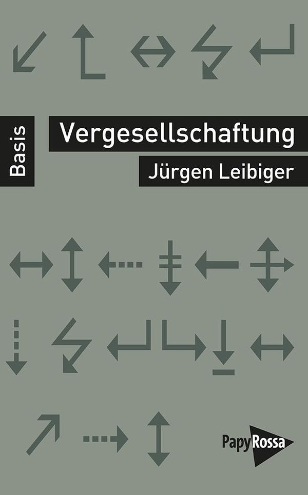 Vergesellschaftung - Jürgen Leibiger (Buch)