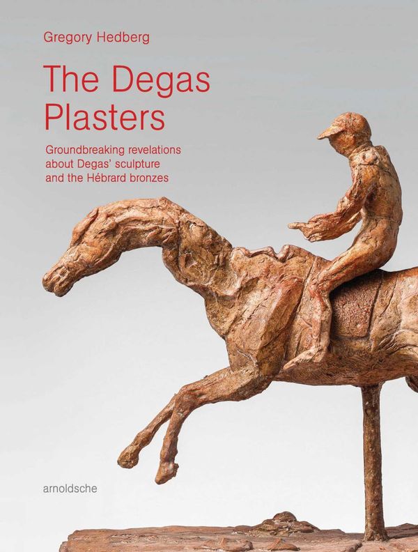 The Degas Plasters - Gregory Hedberg (Buch)