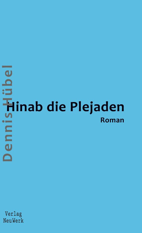 Hinab die Plejaden - Dennis Hübel (Buch)