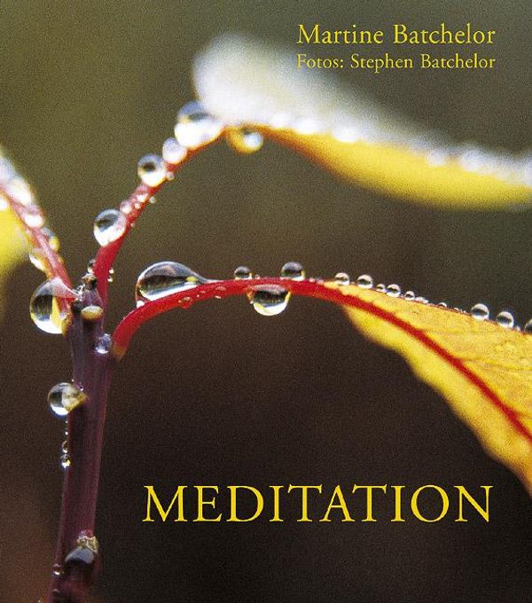 Meditation - Martine Batchelor (Buch)