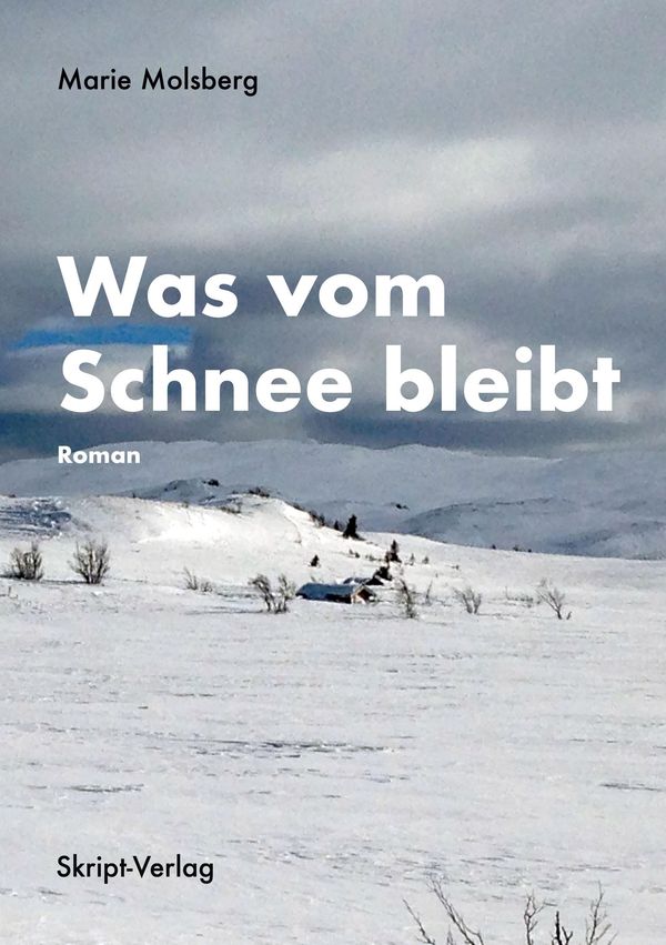 Was vom Schnee bleibt - Marie Molsberg (Buch)